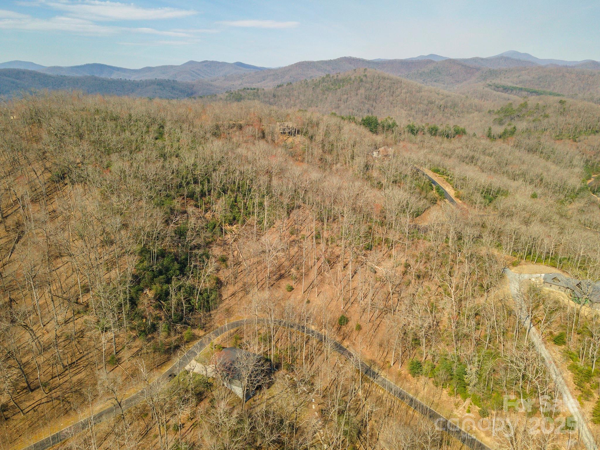 0 Shining Rock Path Horse Shoe NC 28742