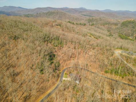 0 Shining Rock Path Horse Shoe NC 28742