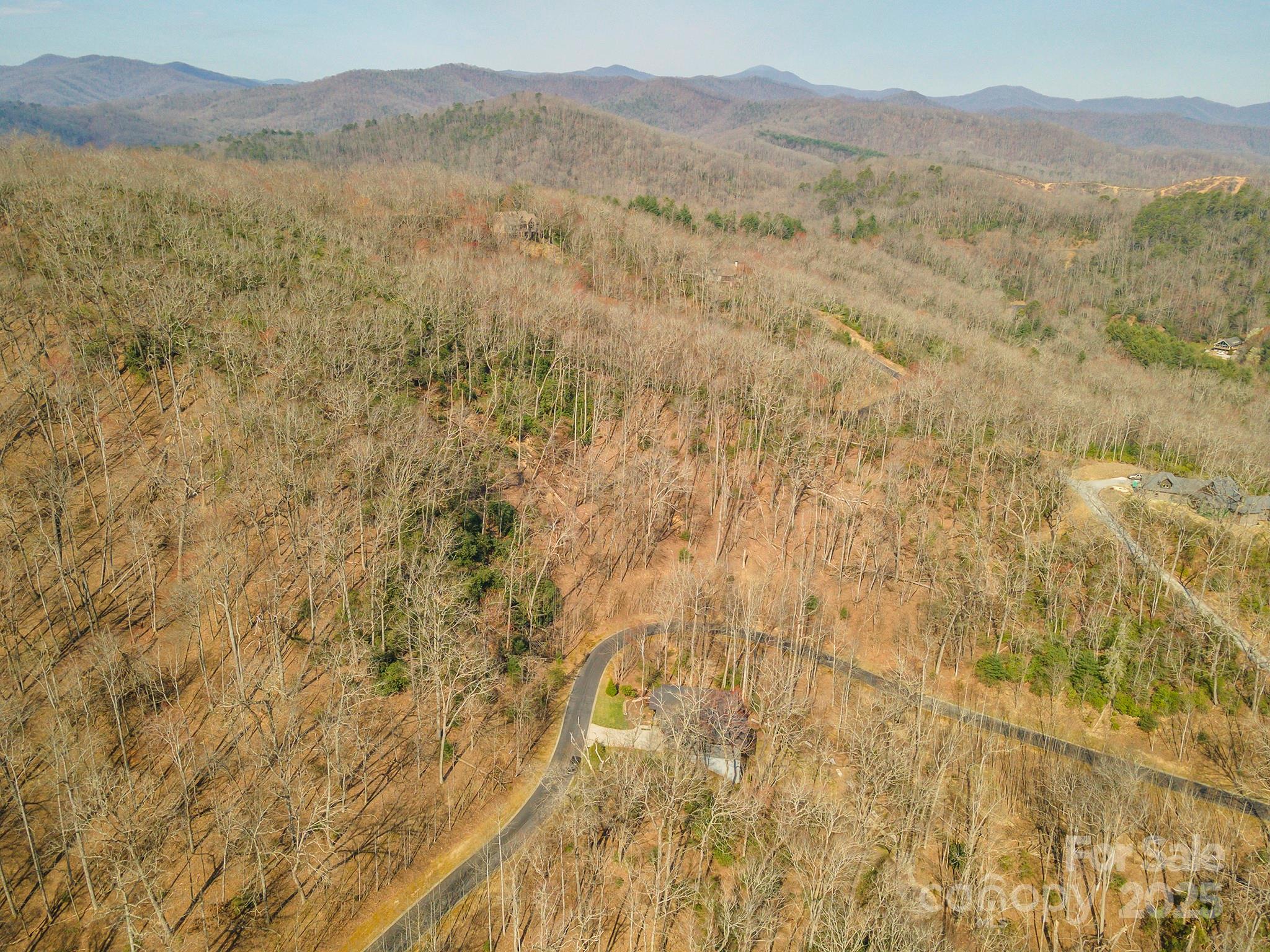 0 Shining Rock Path Horse Shoe NC 28742