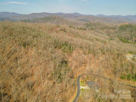 0 Shining Rock Path Horse Shoe NC 28742