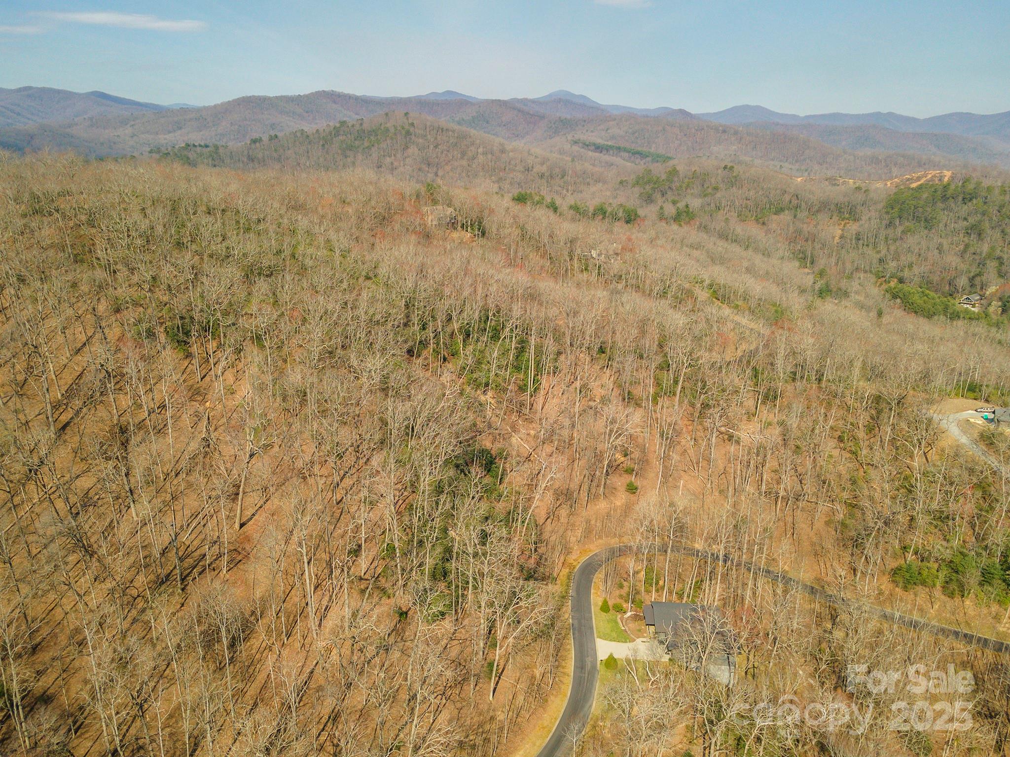 0 Shining Rock Path Horse Shoe NC 28742