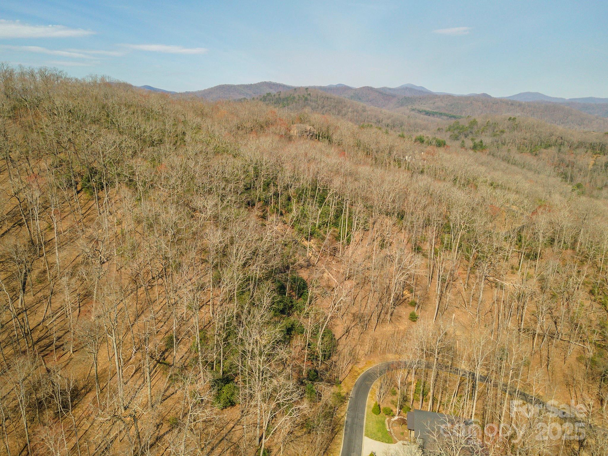 0 Shining Rock Path Horse Shoe NC 28742