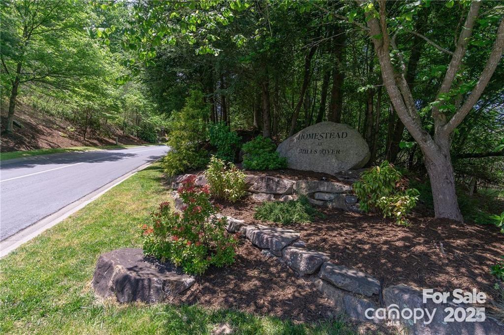 0 Shining Rock Path Horse Shoe NC 28742