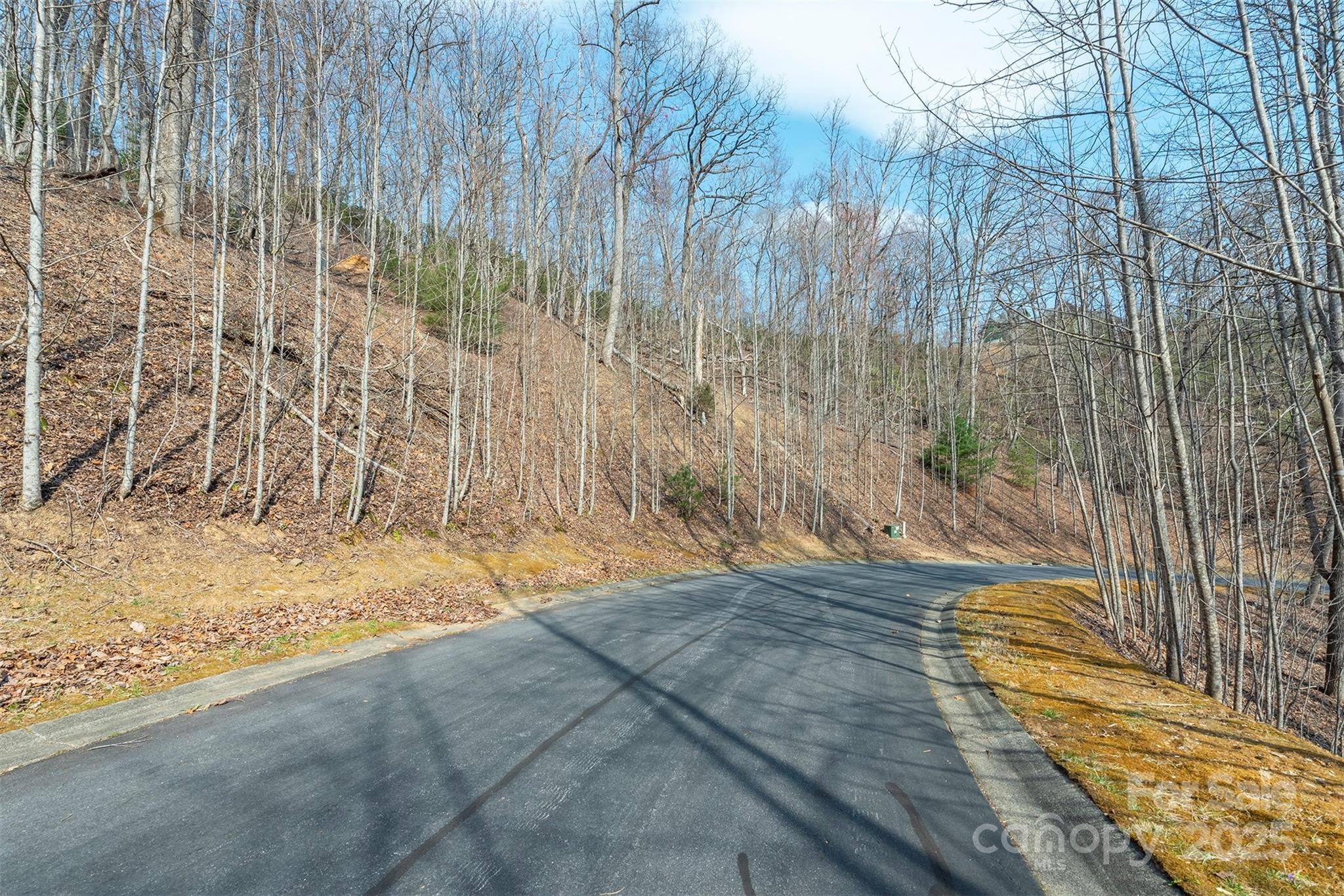 0 Shining Rock Path Horse Shoe NC 28742