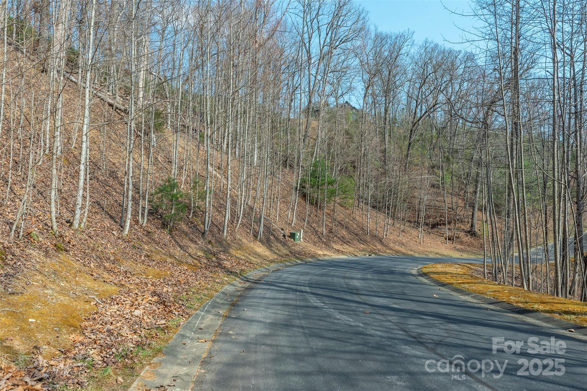 0 Shining Rock Path Horse Shoe NC 28742