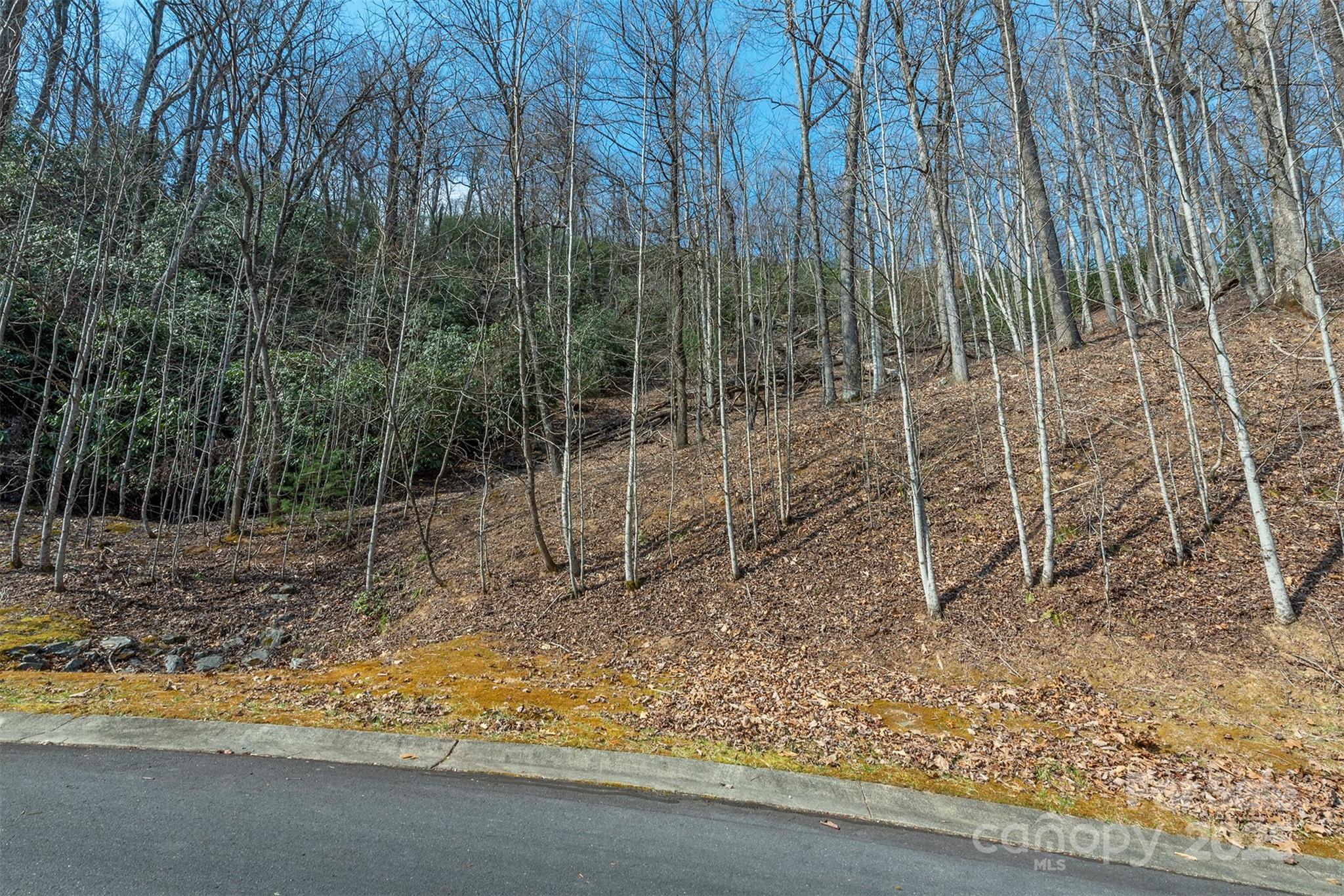 0 Shining Rock Path Horse Shoe NC 28742