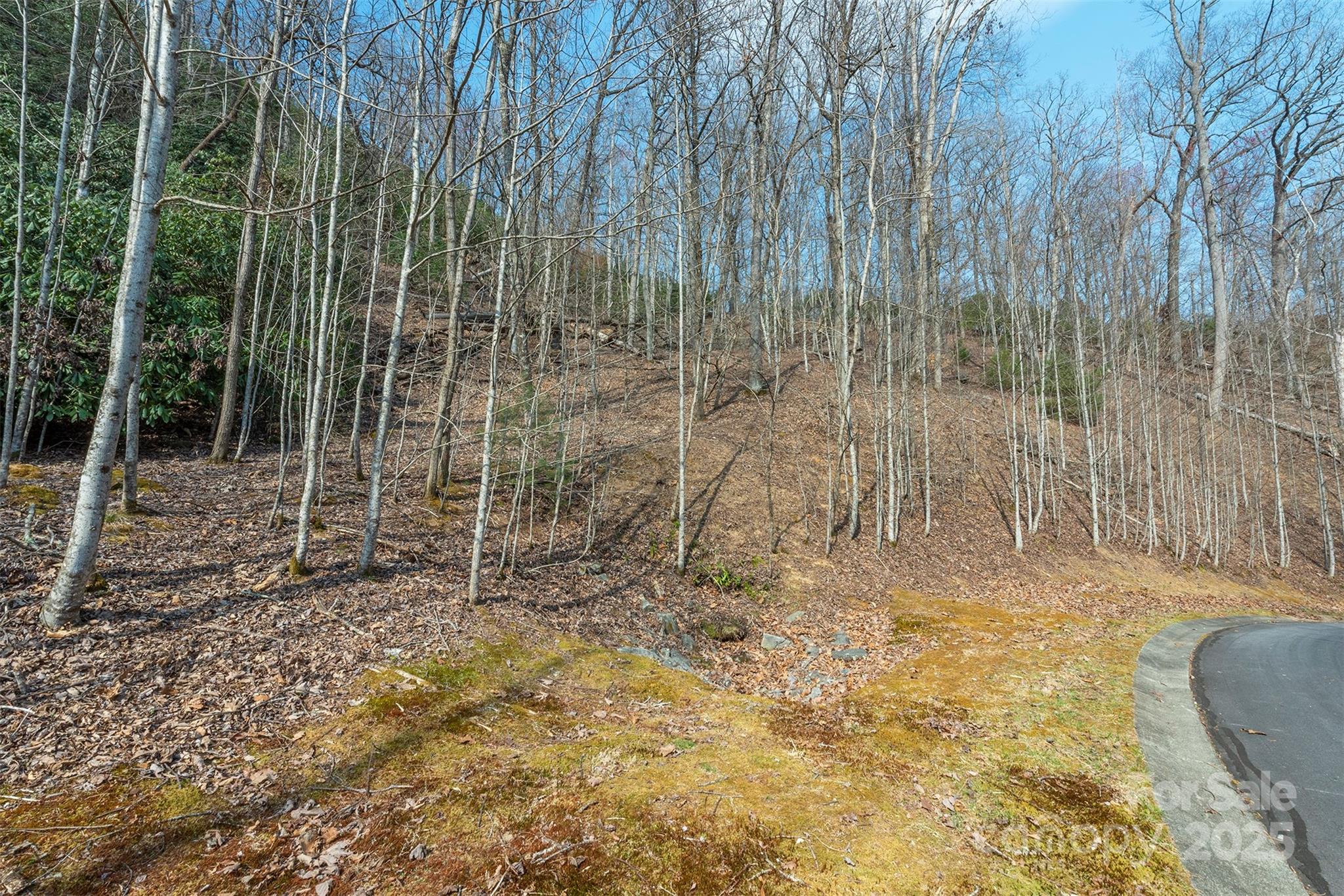 0 Shining Rock Path Horse Shoe NC 28742
