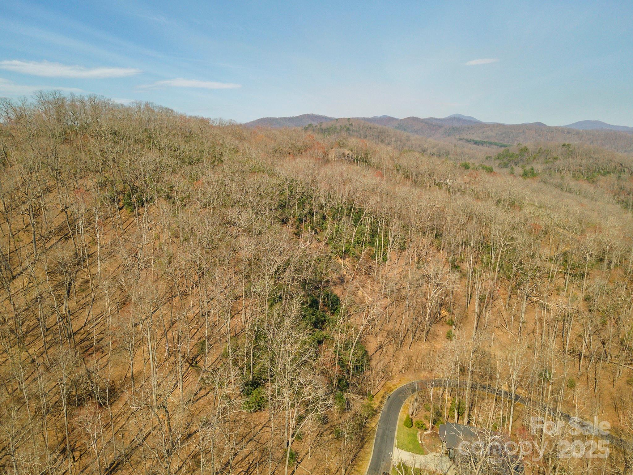 0 Shining Rock Path Horse Shoe NC 28742