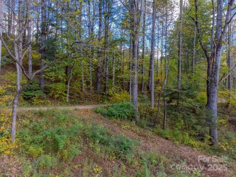 8125 Ellijay Road Franklin NC 28734