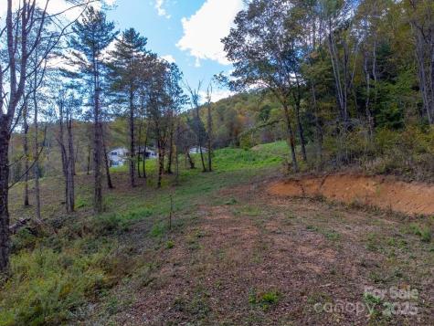 8125 Ellijay Road Franklin NC 28734