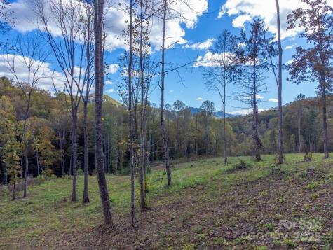 8125 Ellijay Road Franklin NC 28734