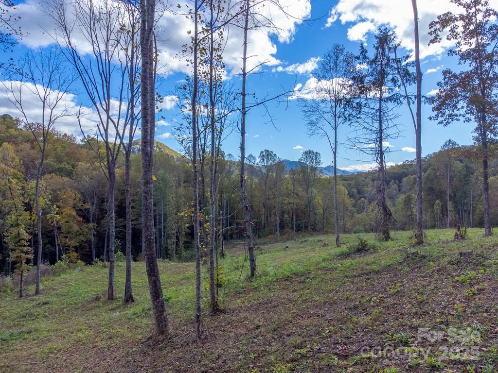8125 Ellijay Road Franklin NC 28734
