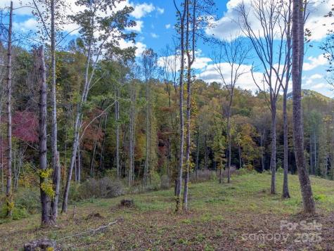 8125 Ellijay Road Franklin NC 28734