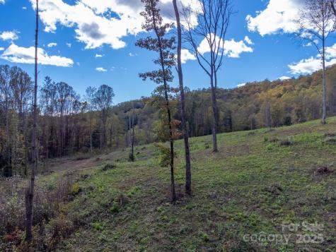 8125 Ellijay Road Franklin NC 28734