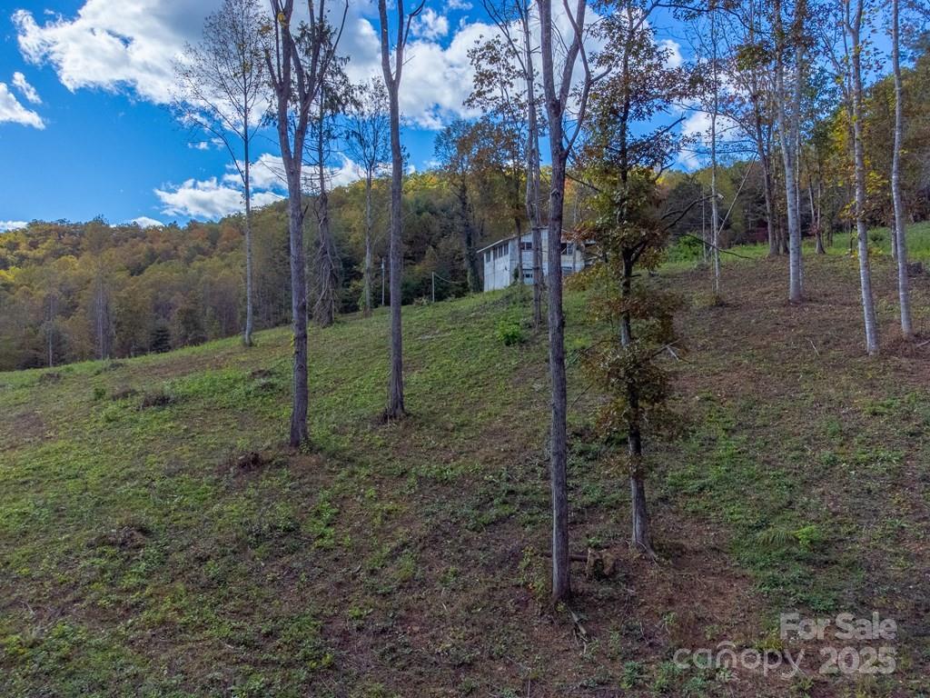 8125 Ellijay Road Franklin NC 28734