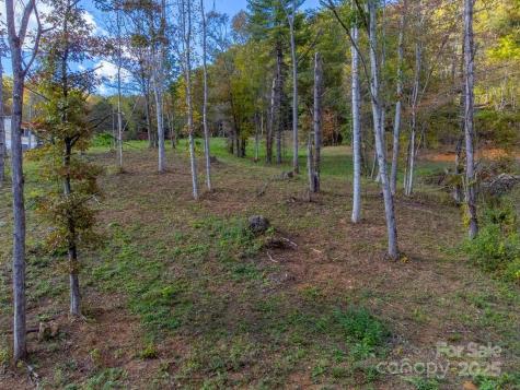8125 Ellijay Road Franklin NC 28734