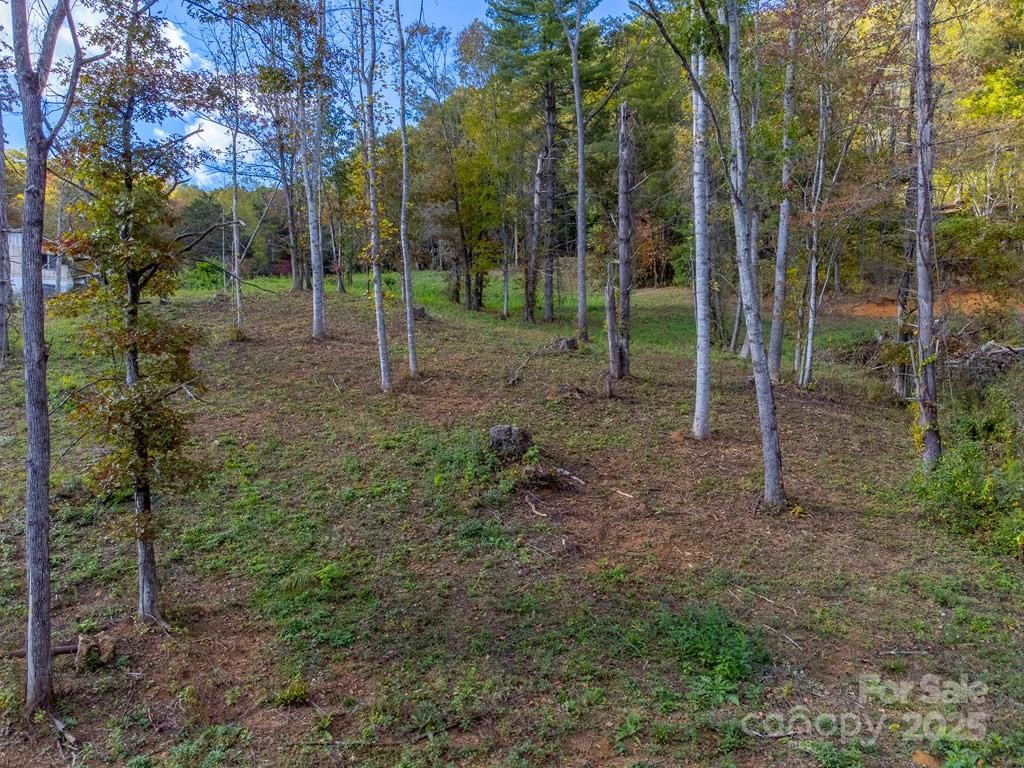 8125 Ellijay Road Franklin NC 28734