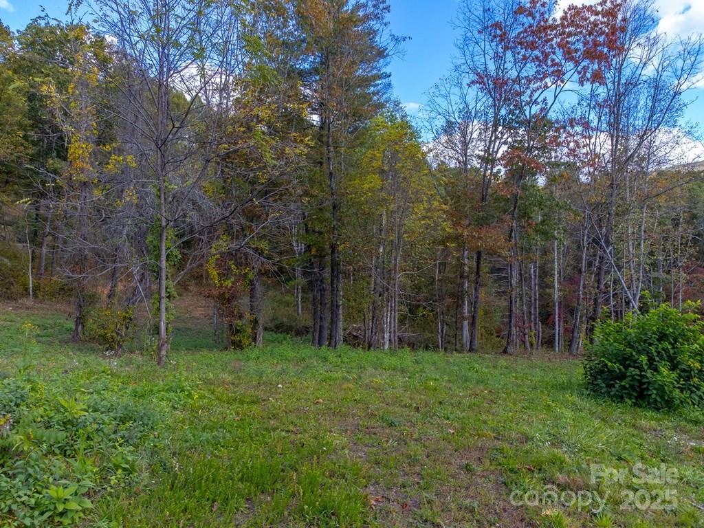 8125 Ellijay Road Franklin NC 28734