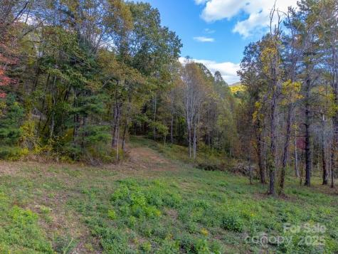 8125 Ellijay Road Franklin NC 28734
