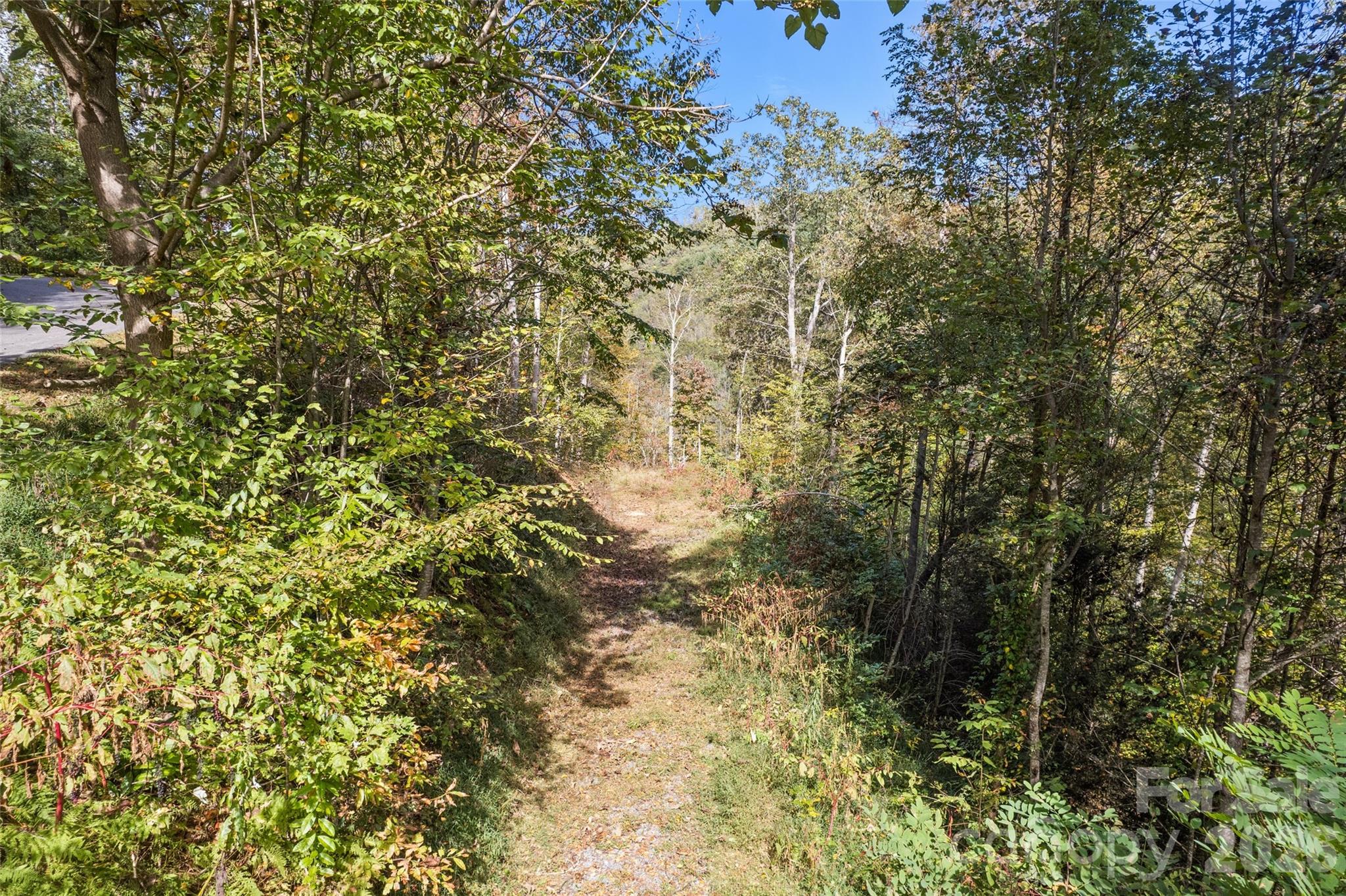 16 Harleys Cove Waynesville NC 28785