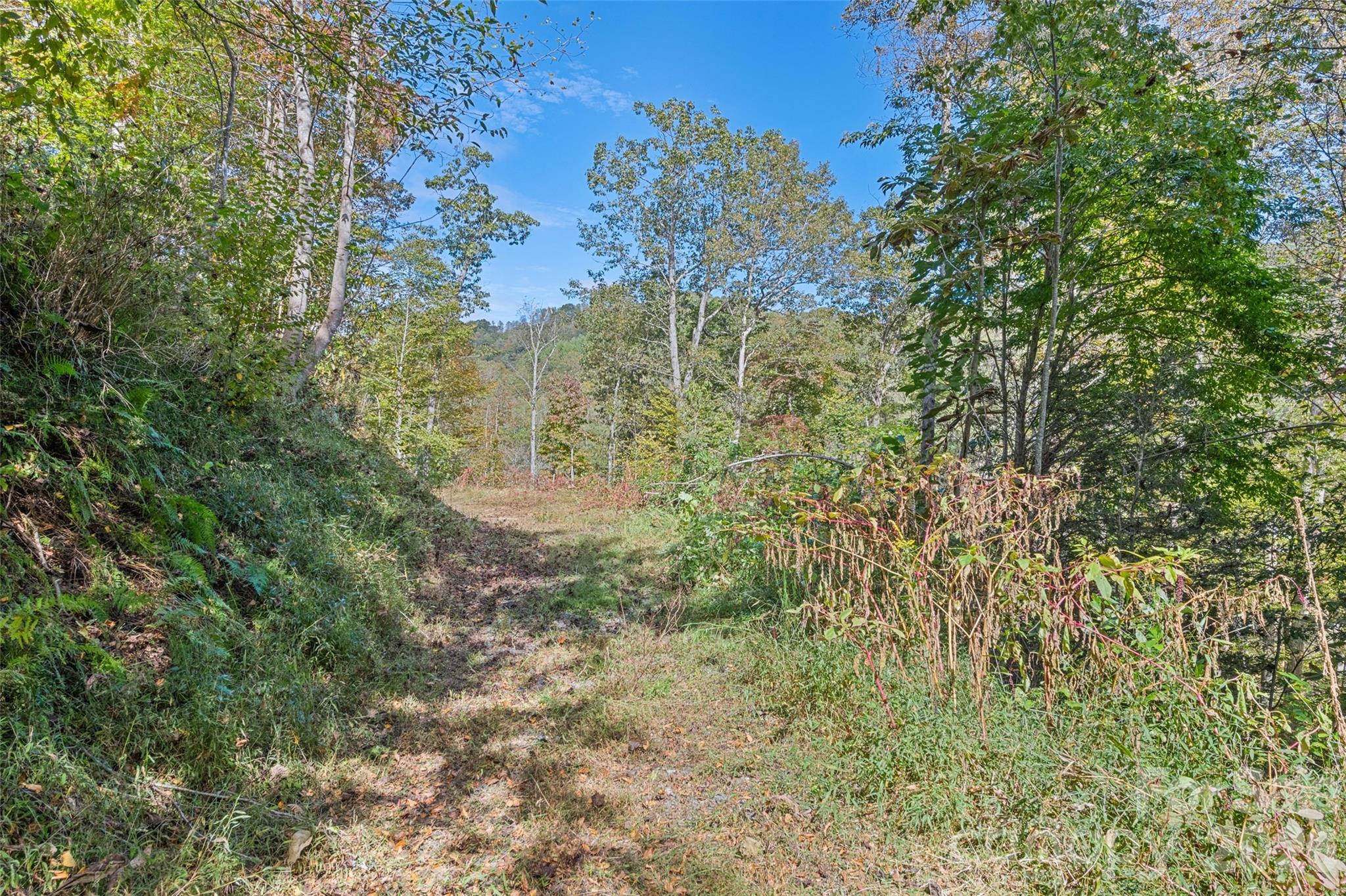 16 Harleys Cove Waynesville NC 28785
