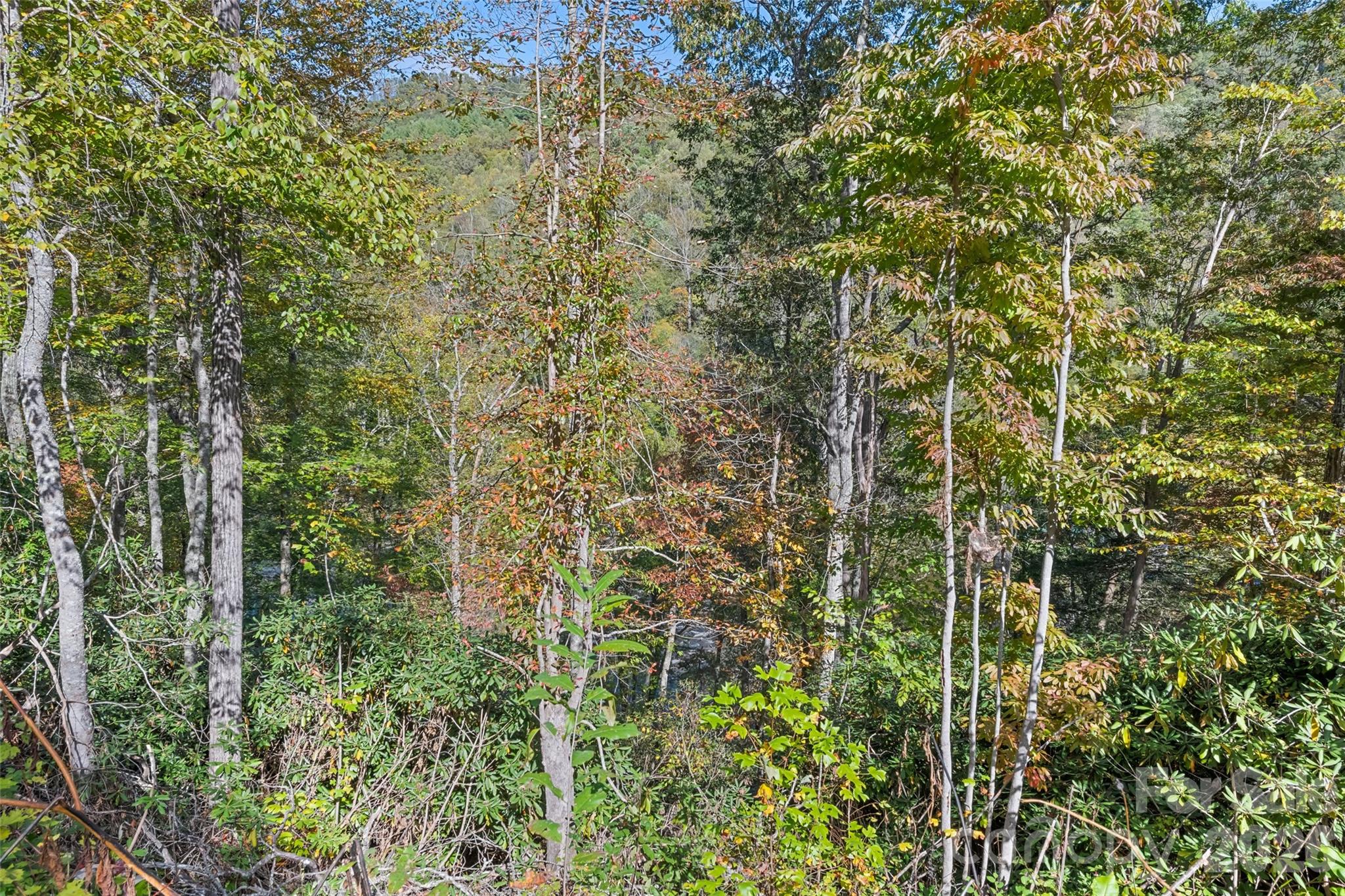 16 Harleys Cove Waynesville NC 28785