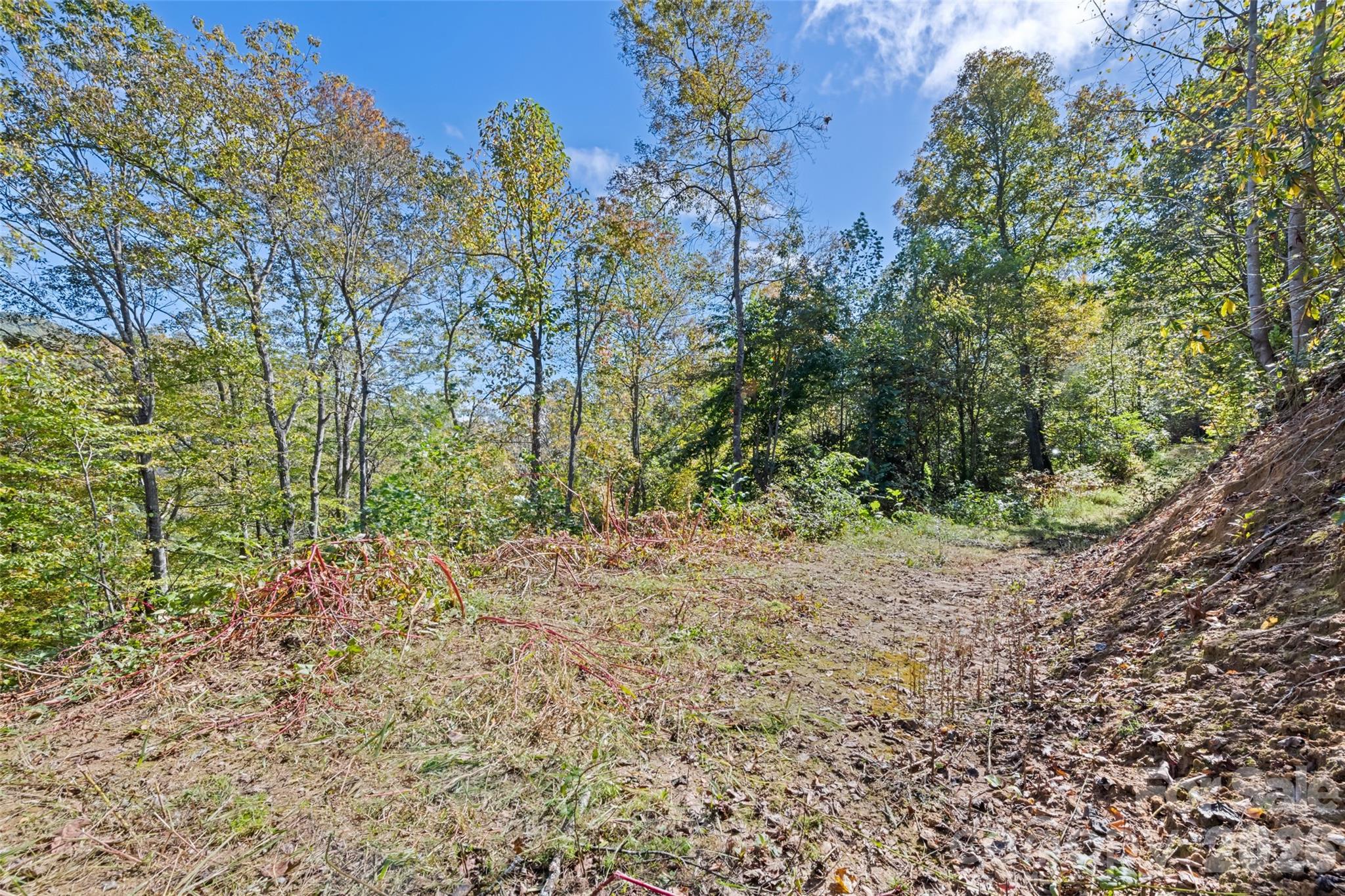 16 Harleys Cove Waynesville NC 28785