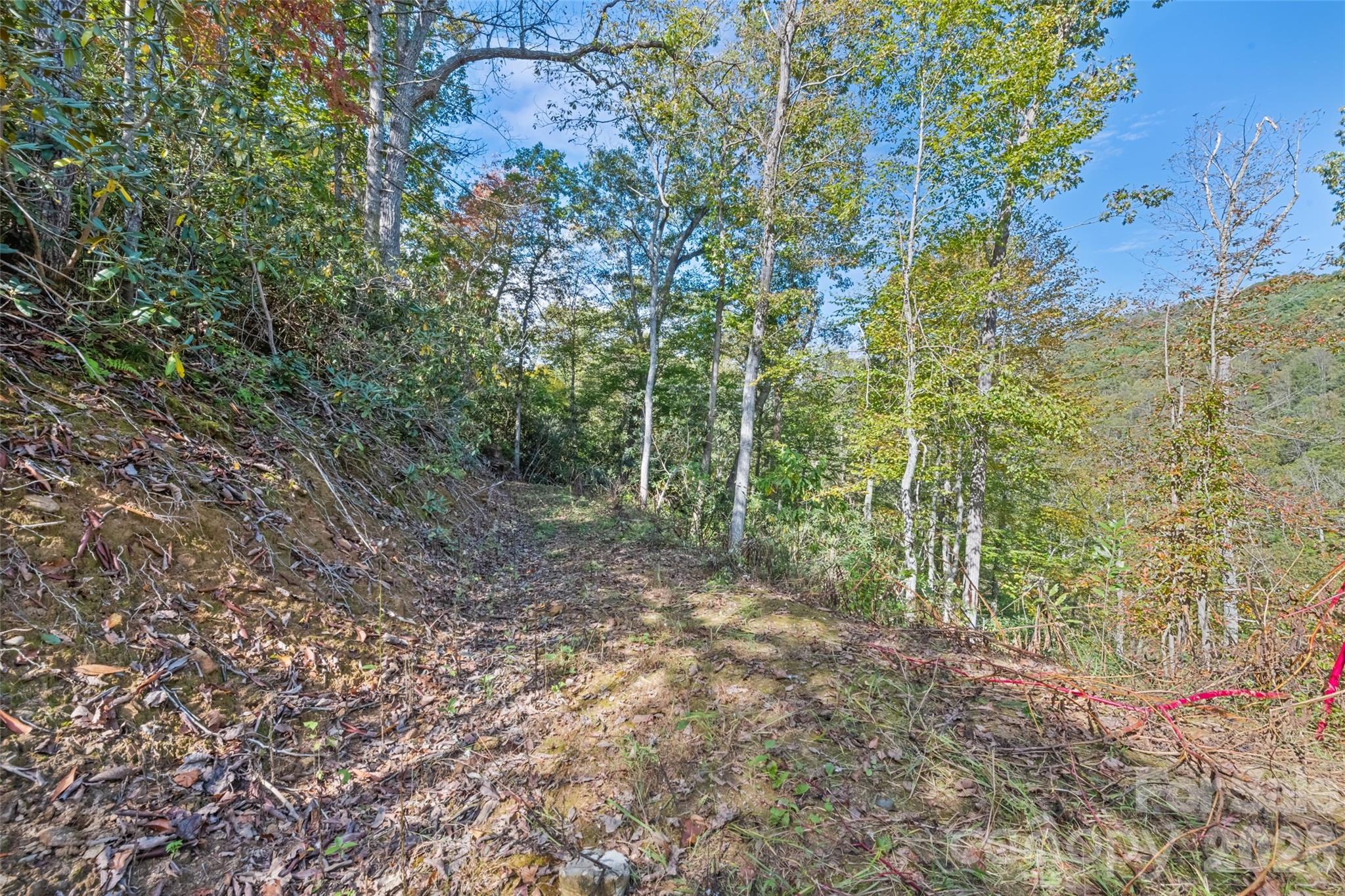 16 Harleys Cove Waynesville NC 28785