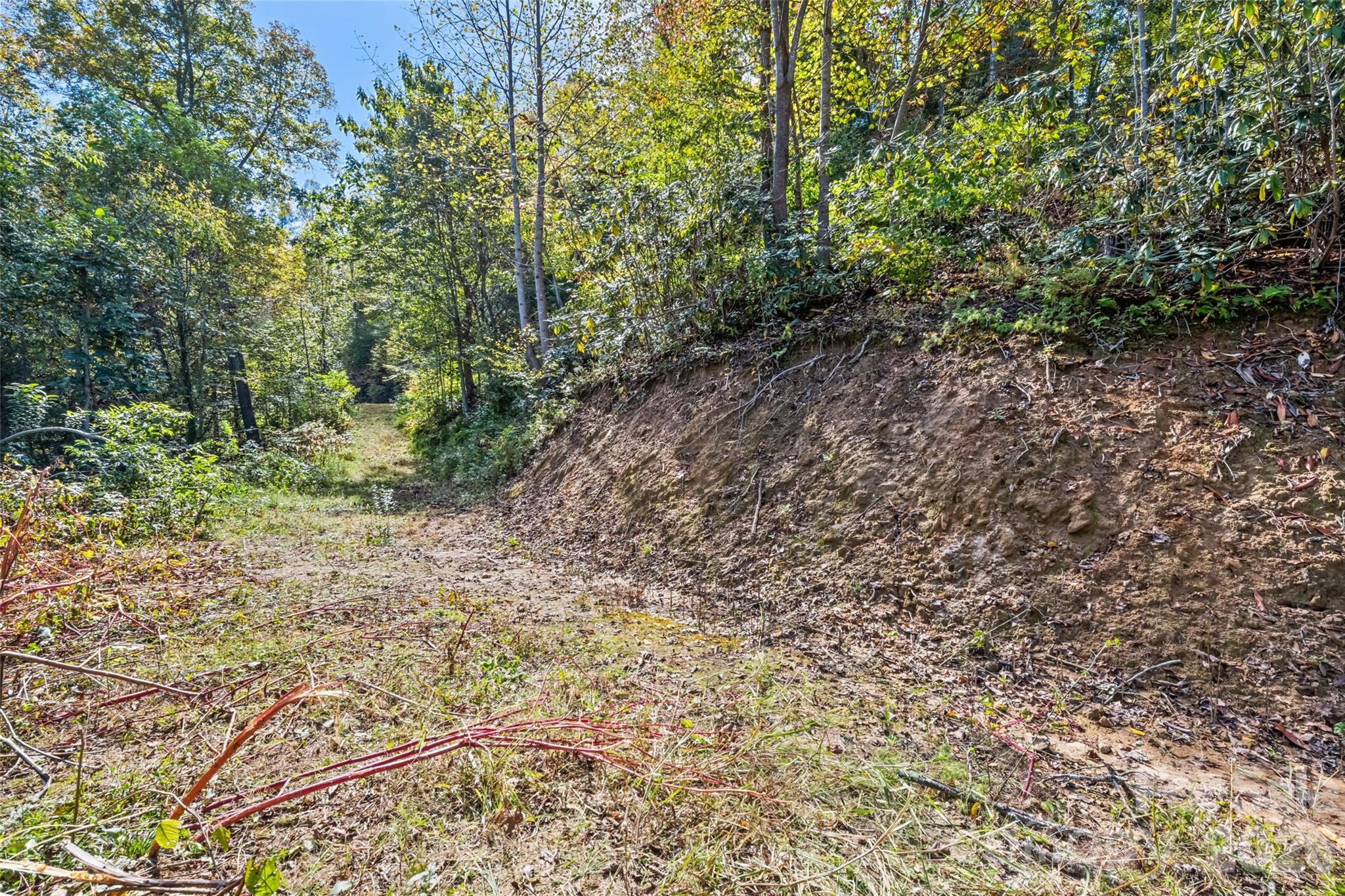 16 Harleys Cove Waynesville NC 28785