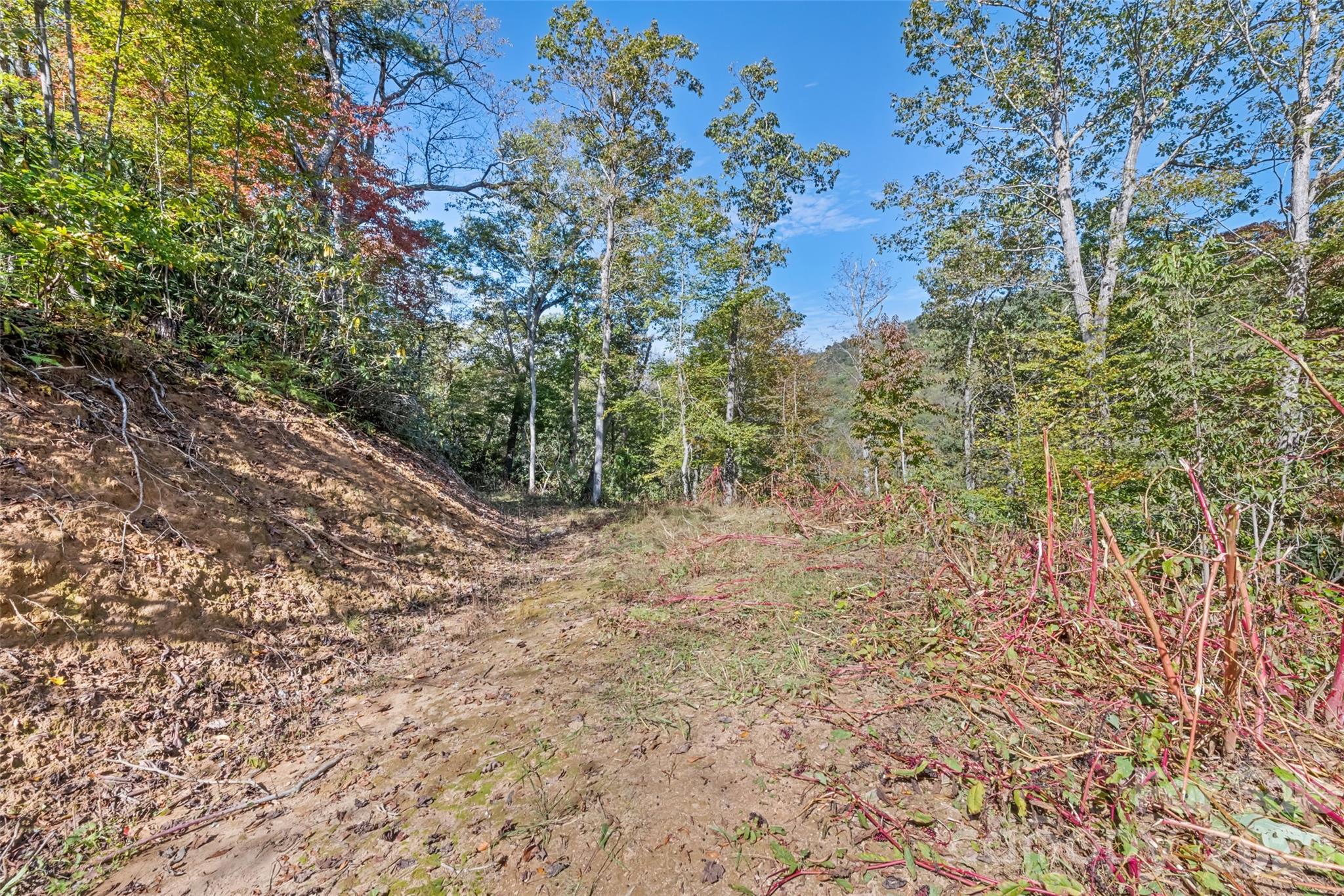 16 Harleys Cove Waynesville NC 28785