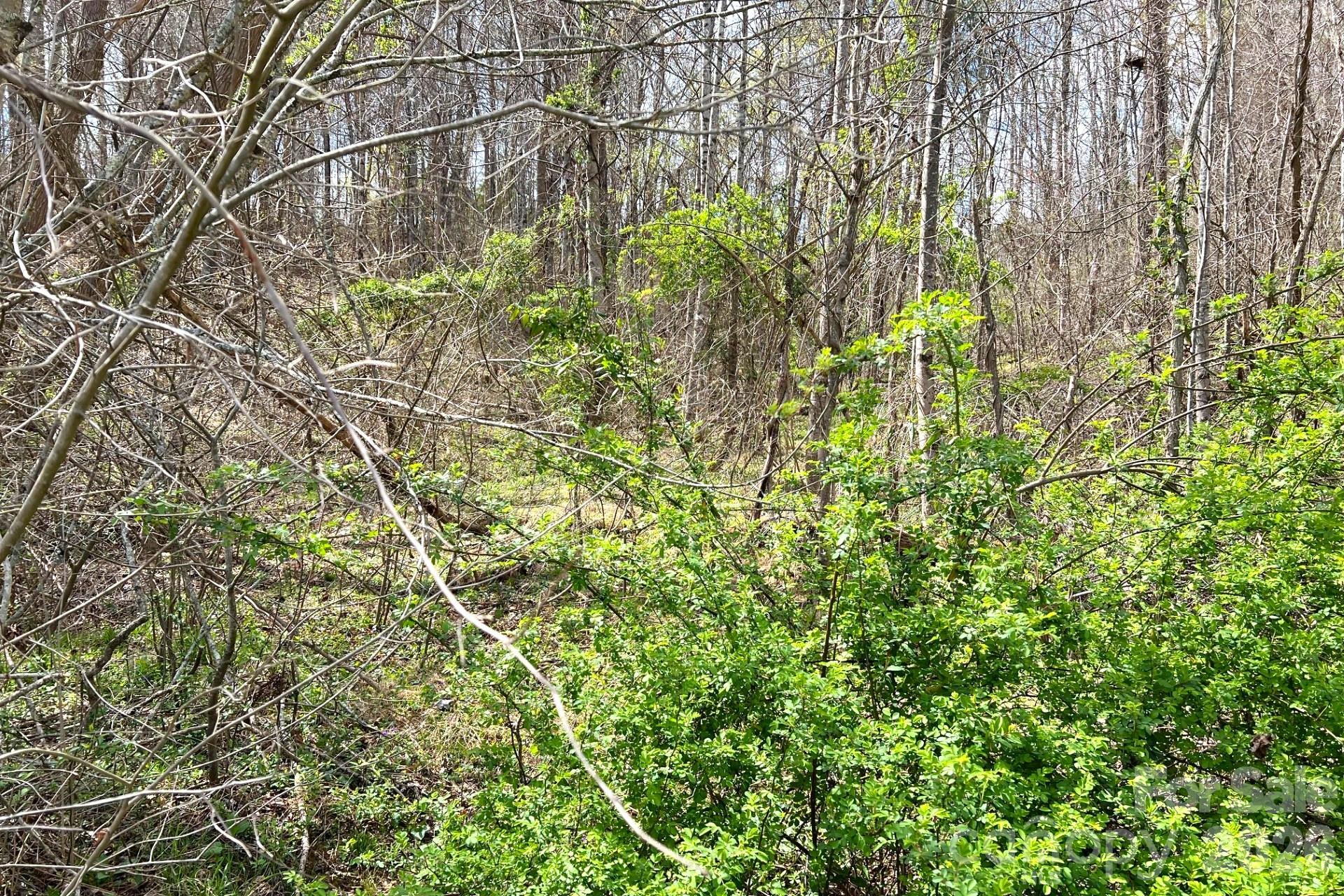 99999 Martin Branch Road Leicester NC 28748