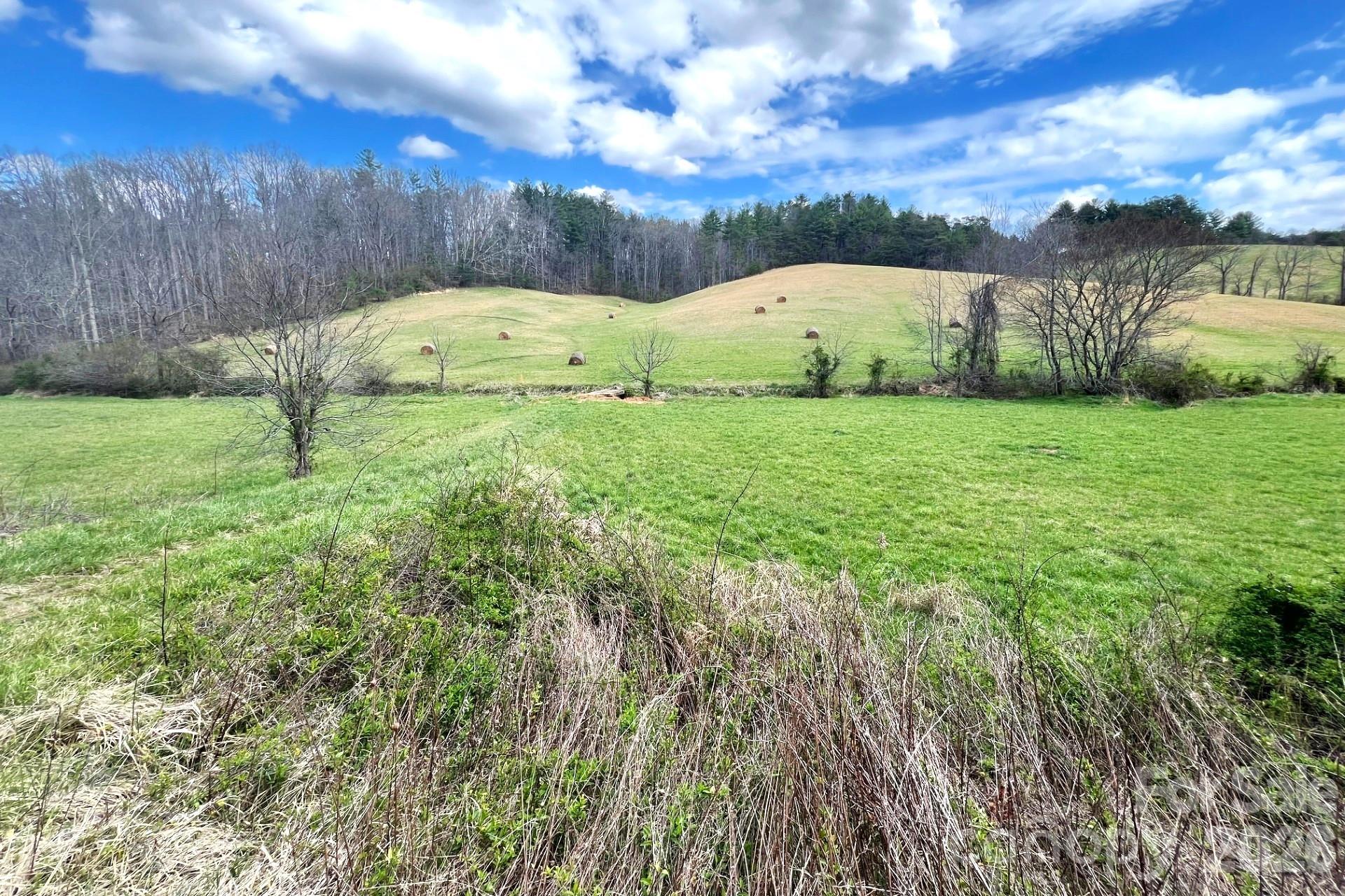 99999 Martin Branch Road Leicester NC 28748