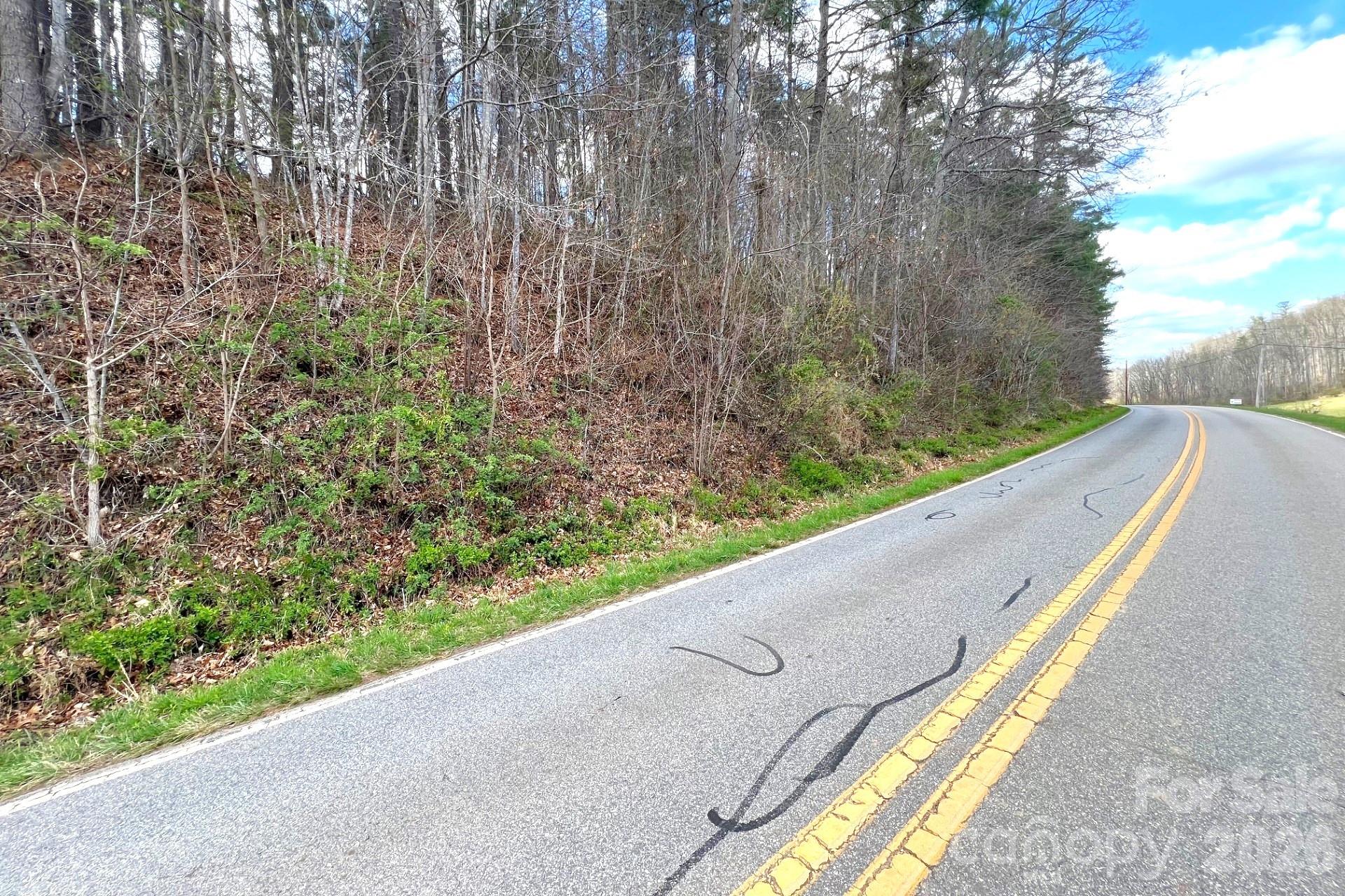 99999 Martin Branch Road Leicester NC 28748