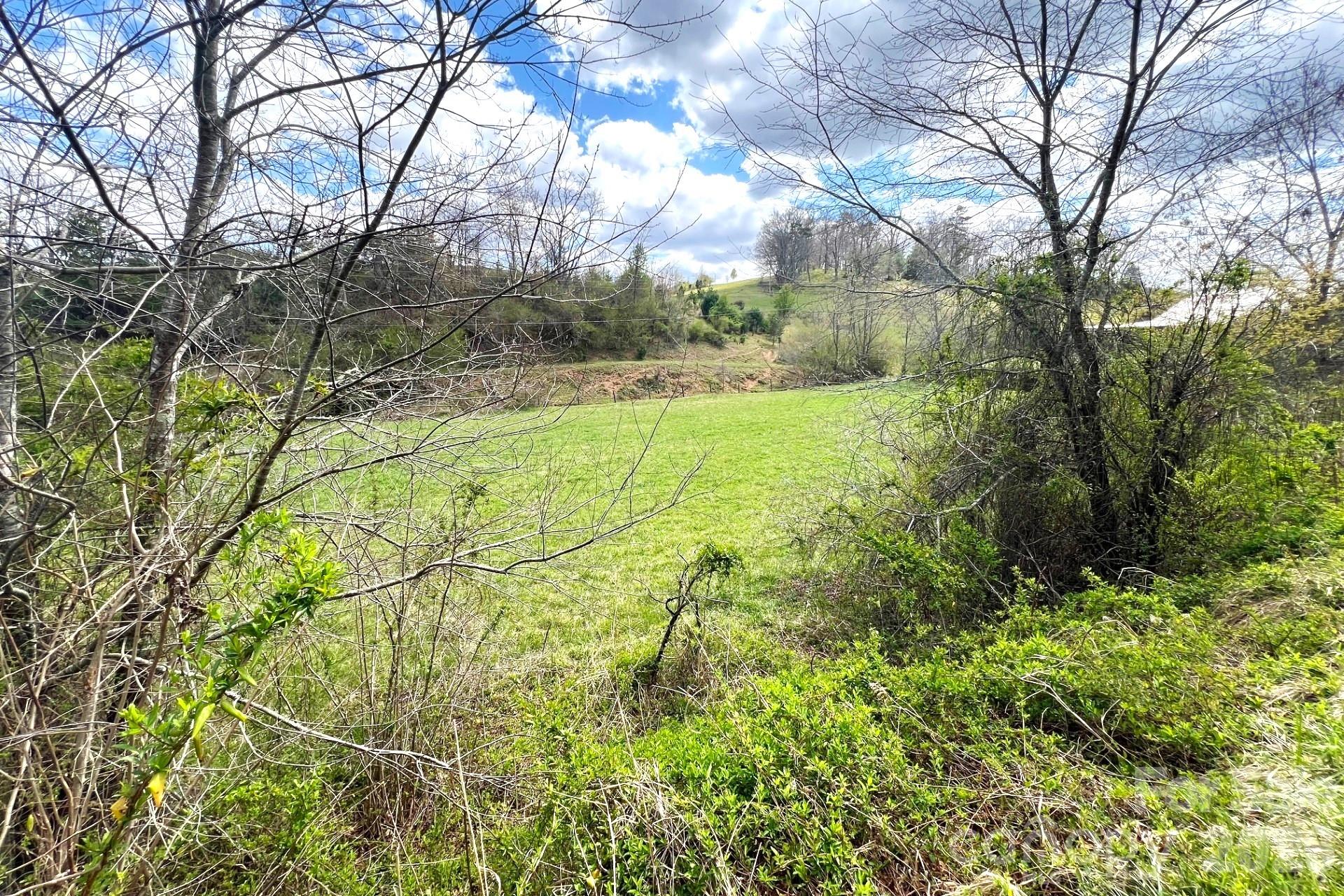 99999 Martin Branch Road Leicester NC 28748