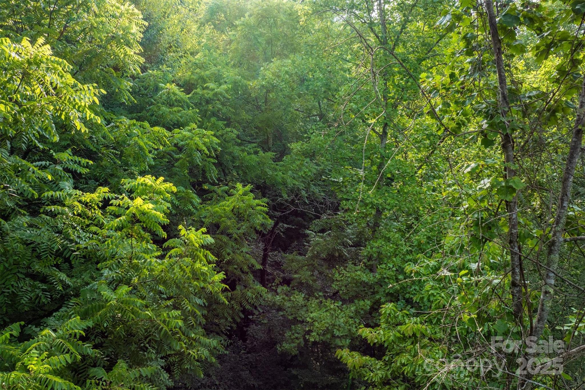 5 Round Mountain Parkway Lenoir NC 28645
