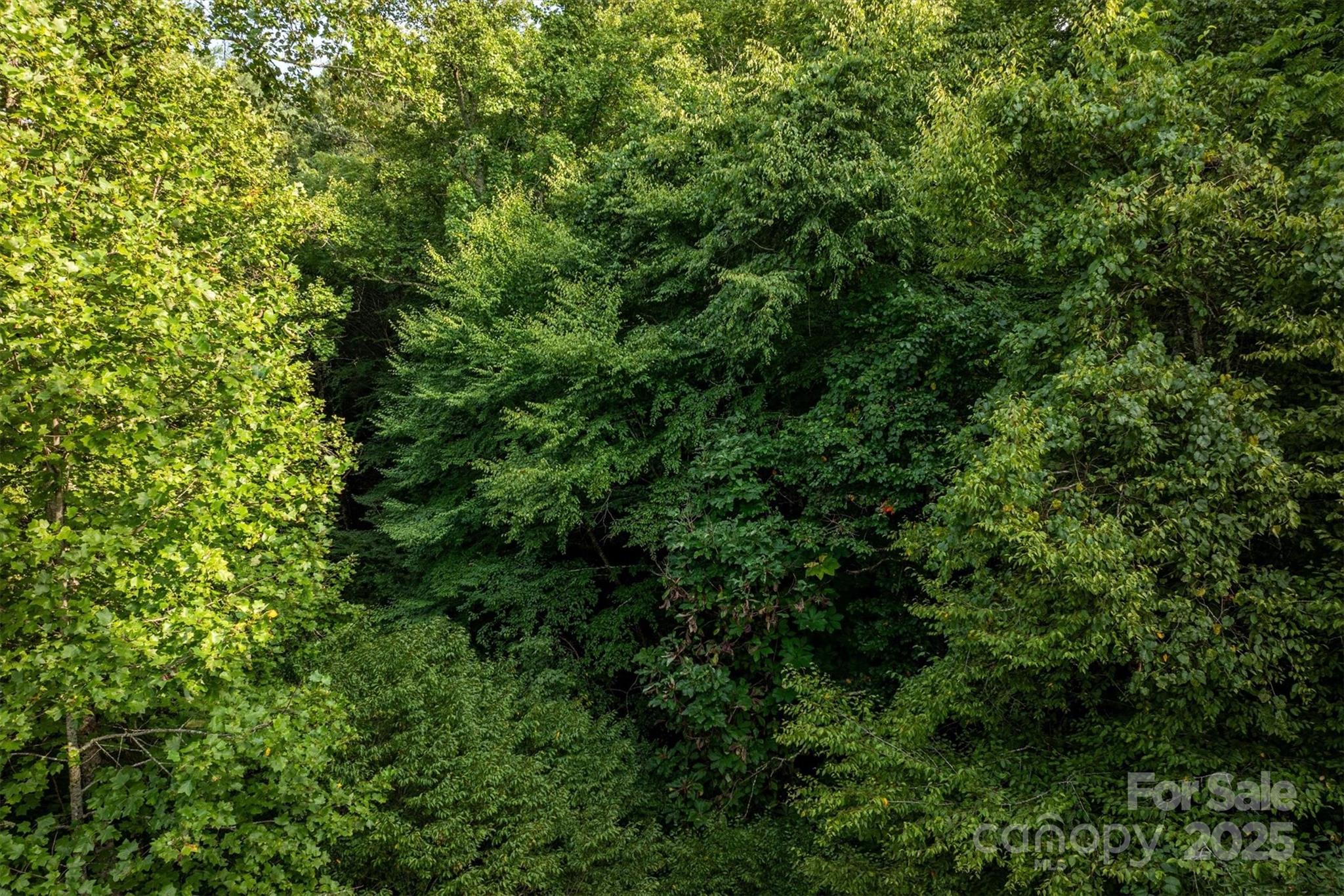 5 Round Mountain Parkway Lenoir NC 28645