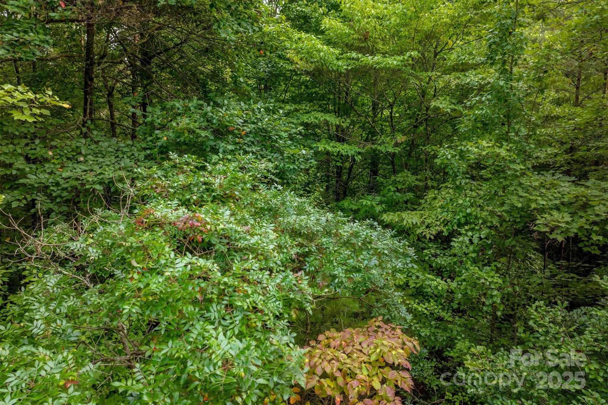 5 Round Mountain Parkway Lenoir NC 28645