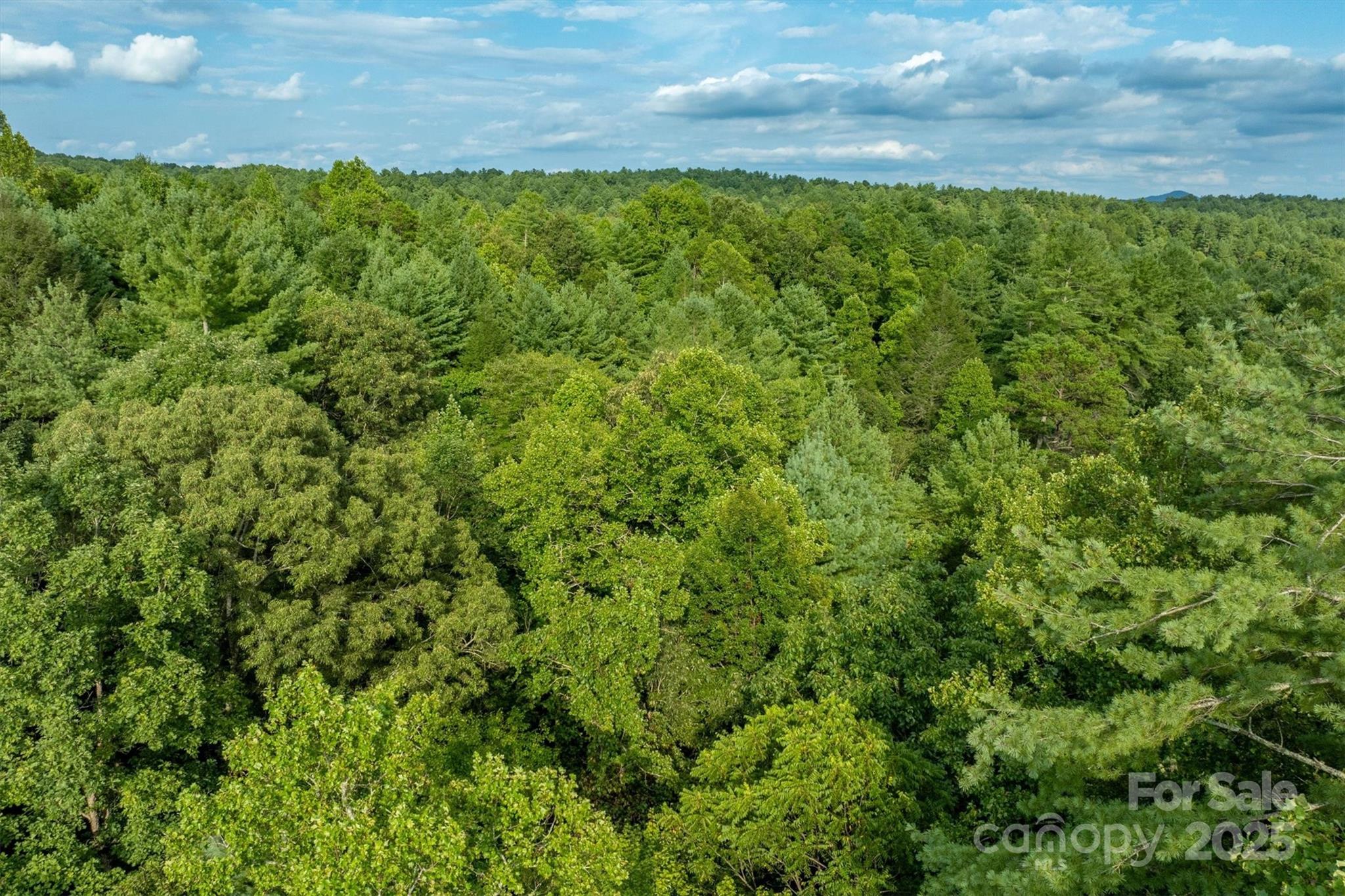 5 Round Mountain Parkway Lenoir NC 28645