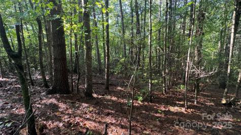 5 Round Mountain Parkway Lenoir NC 28645