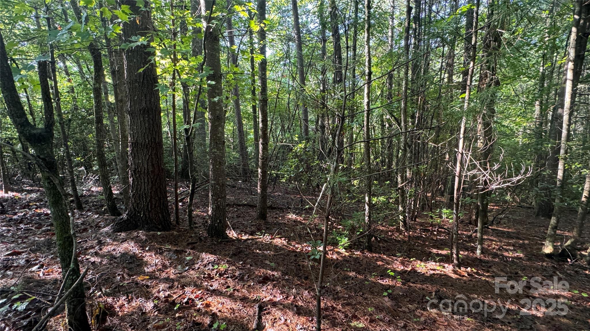 5 Round Mountain Parkway Lenoir NC 28645