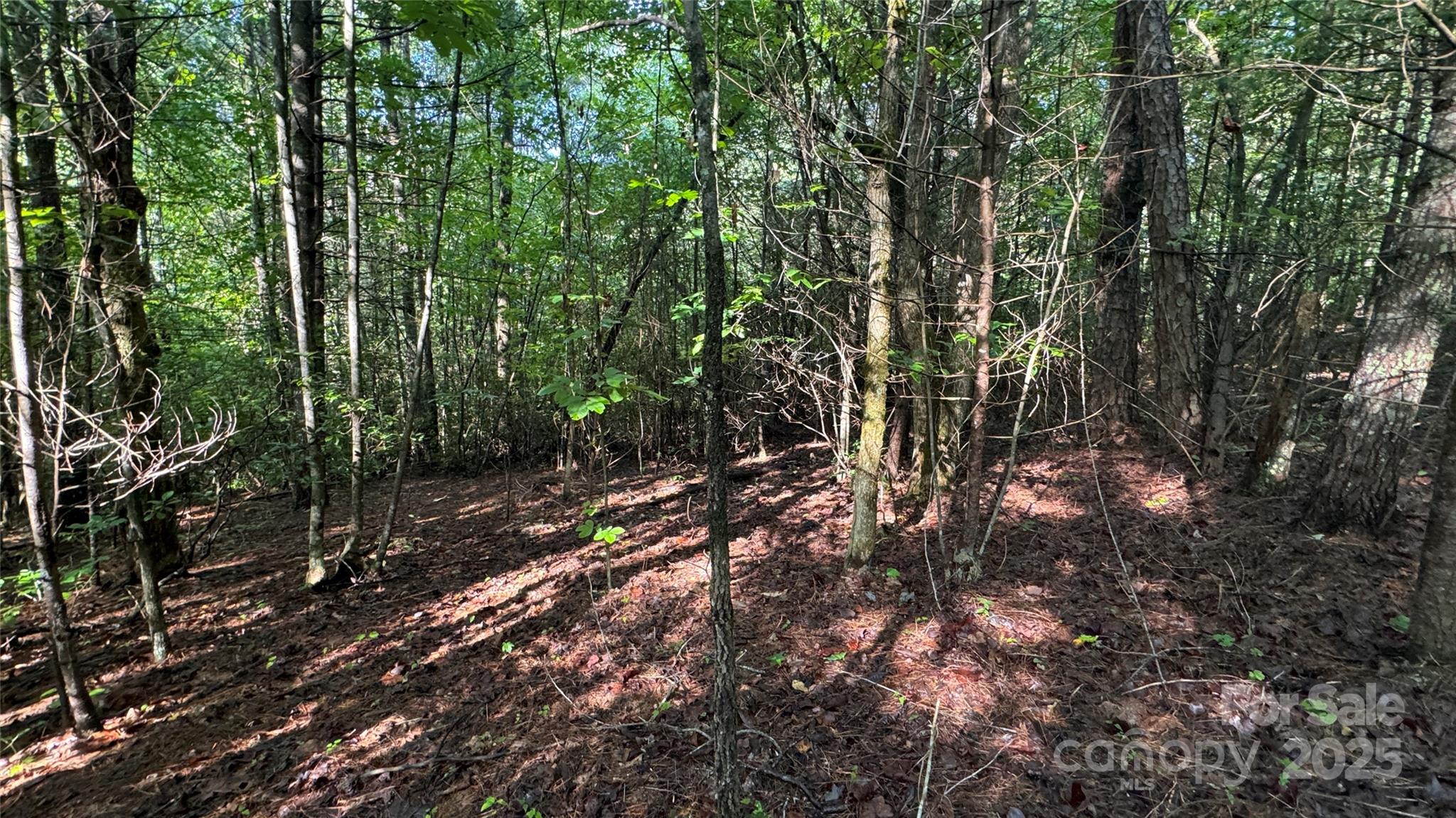 5 Round Mountain Parkway Lenoir NC 28645