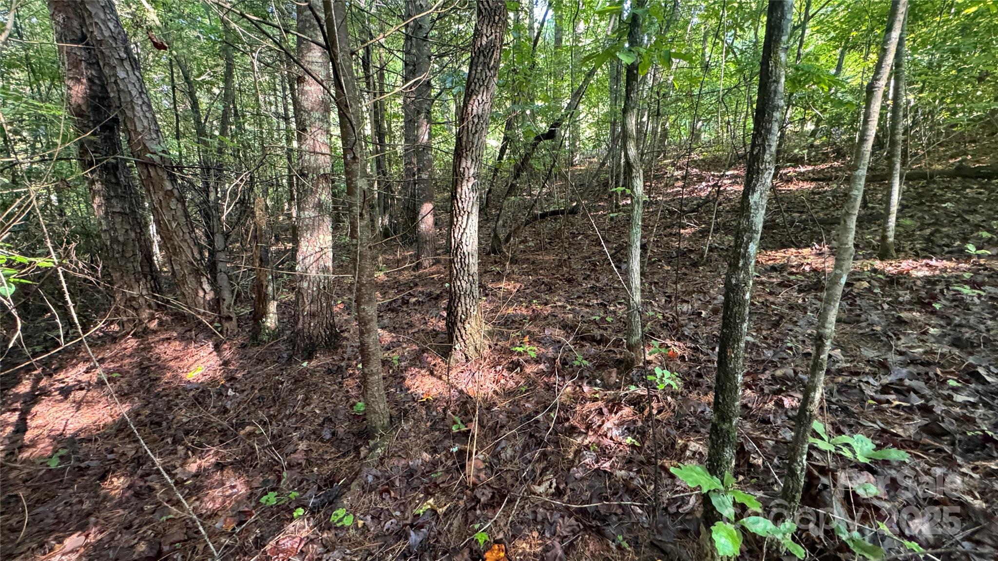 5 Round Mountain Parkway Lenoir NC 28645