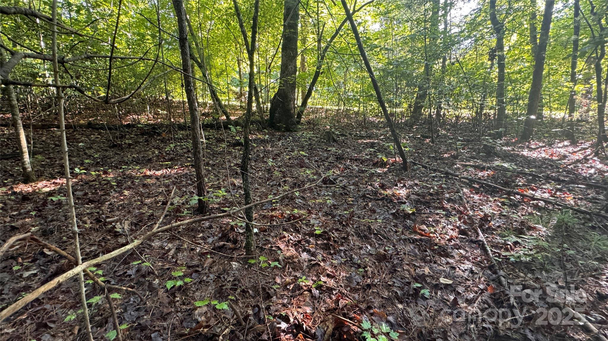 5 Round Mountain Parkway Lenoir NC 28645