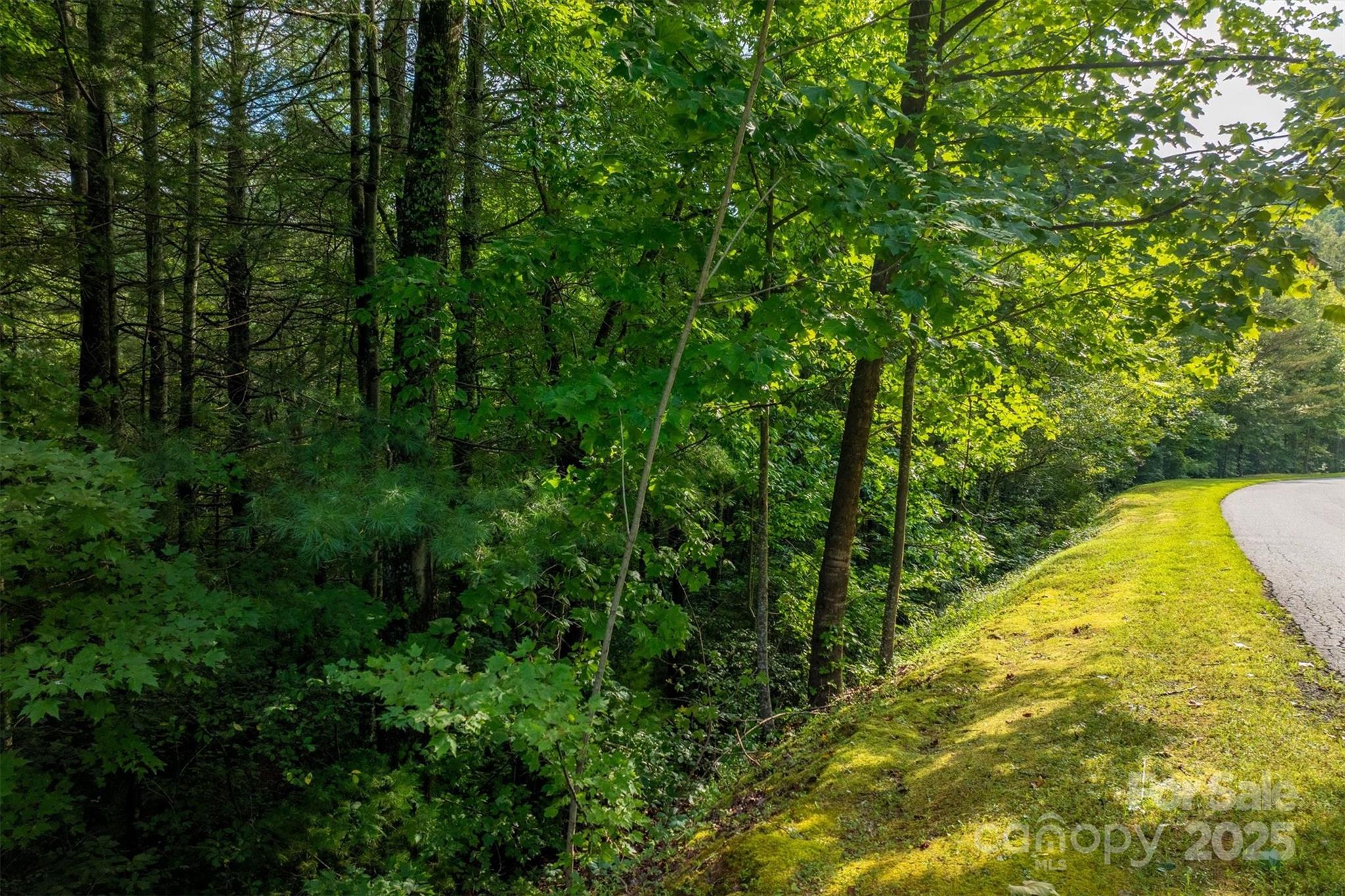 5 Round Mountain Parkway Lenoir NC 28645