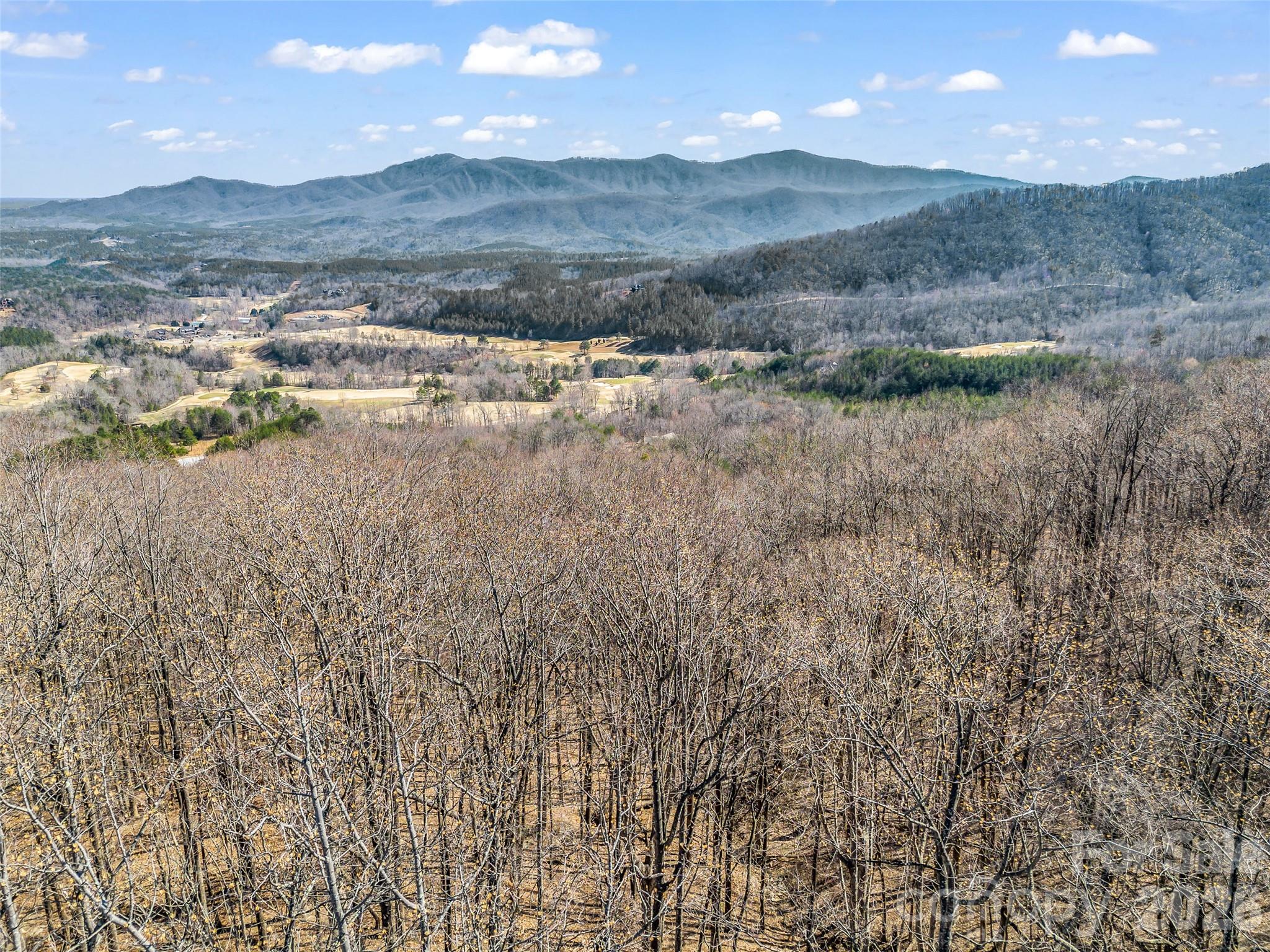 183 Chesterfield Drive Mill Spring NC 28756