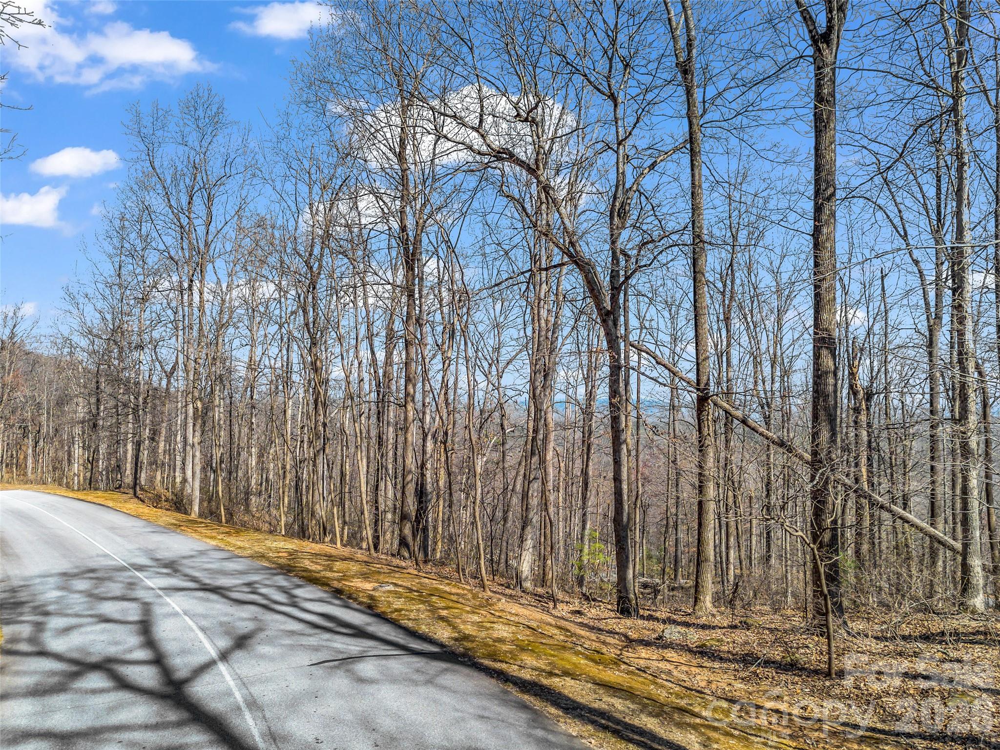 183 Chesterfield Drive Mill Spring NC 28756