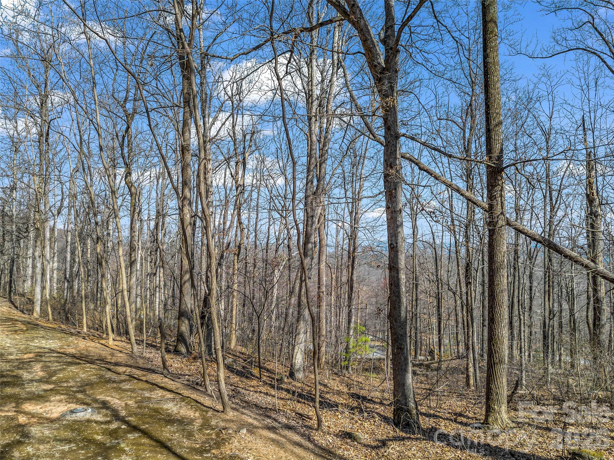 183 Chesterfield Drive Mill Spring NC 28756
