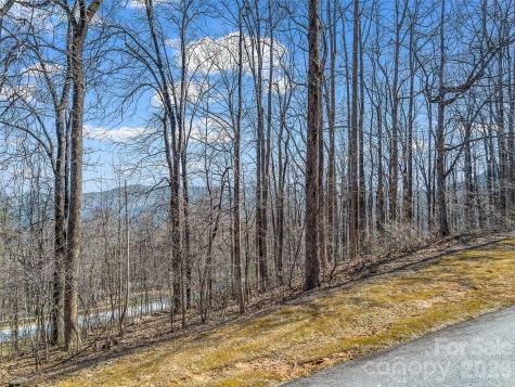 183 Chesterfield Drive Mill Spring NC 28756
