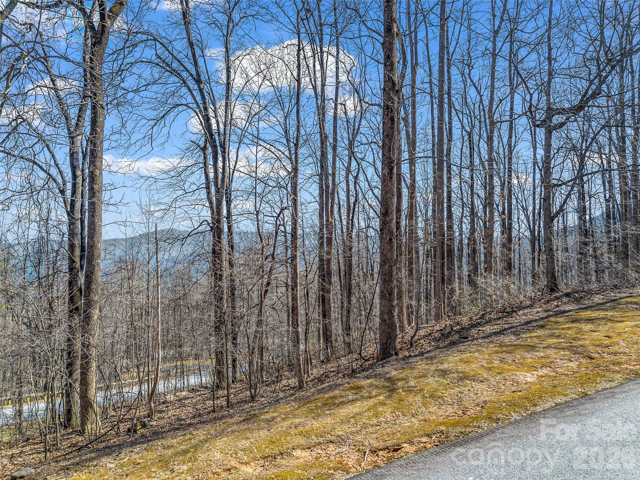 183 Chesterfield Drive Mill Spring NC 28756