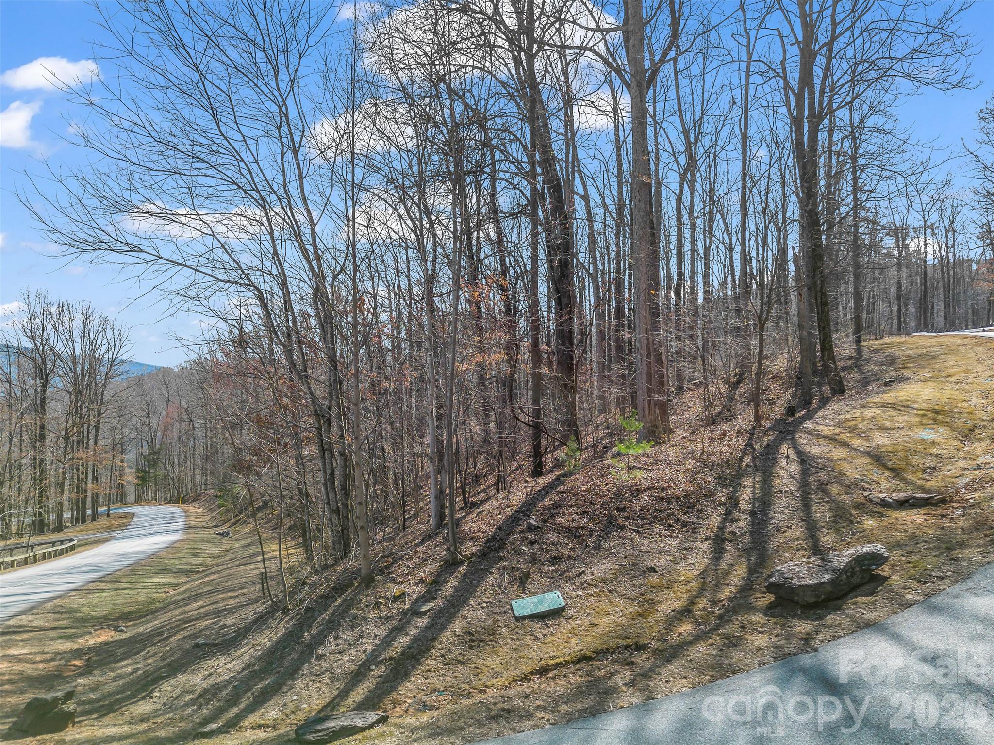 183 Chesterfield Drive Mill Spring NC 28756